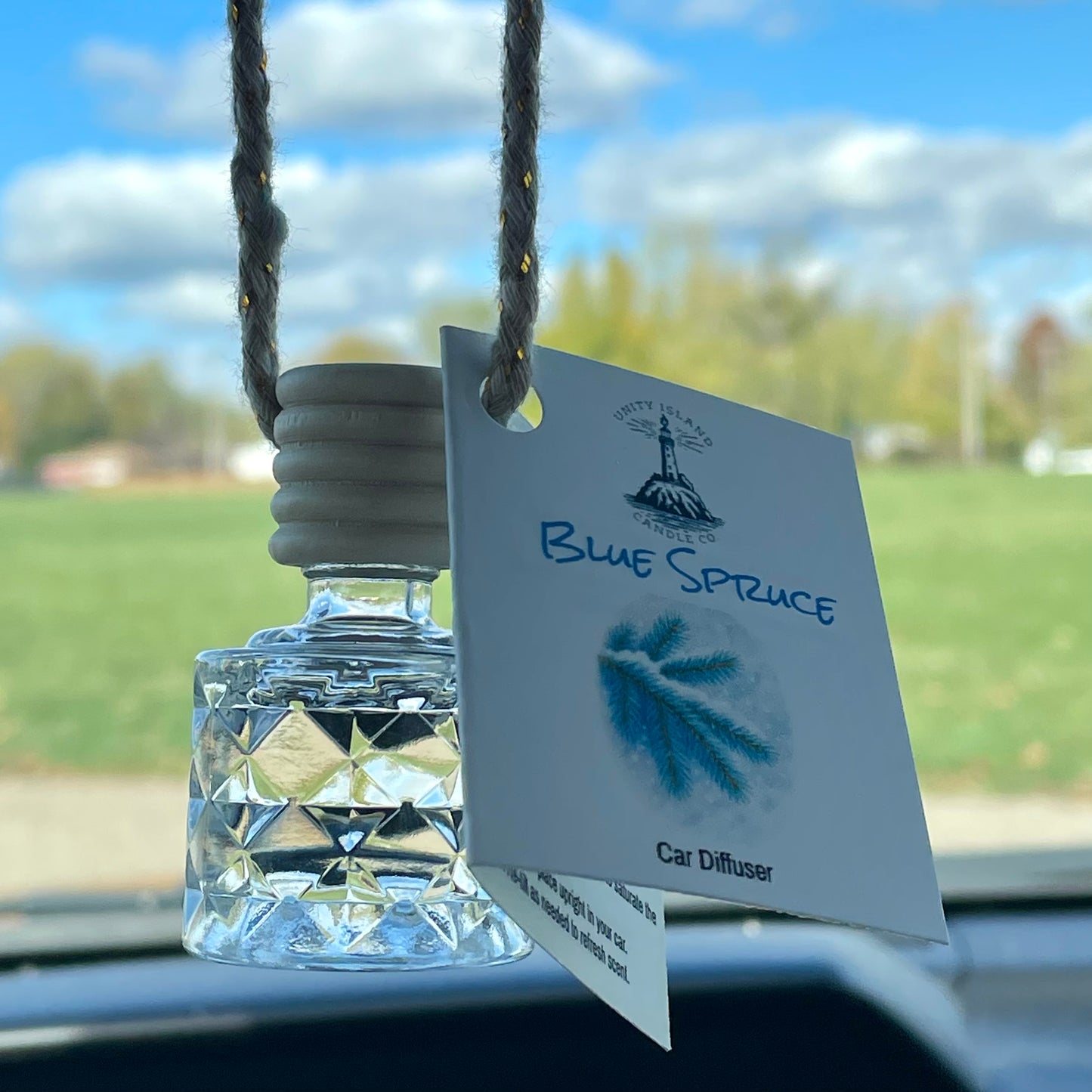 Blue Spruce Car Diffuser